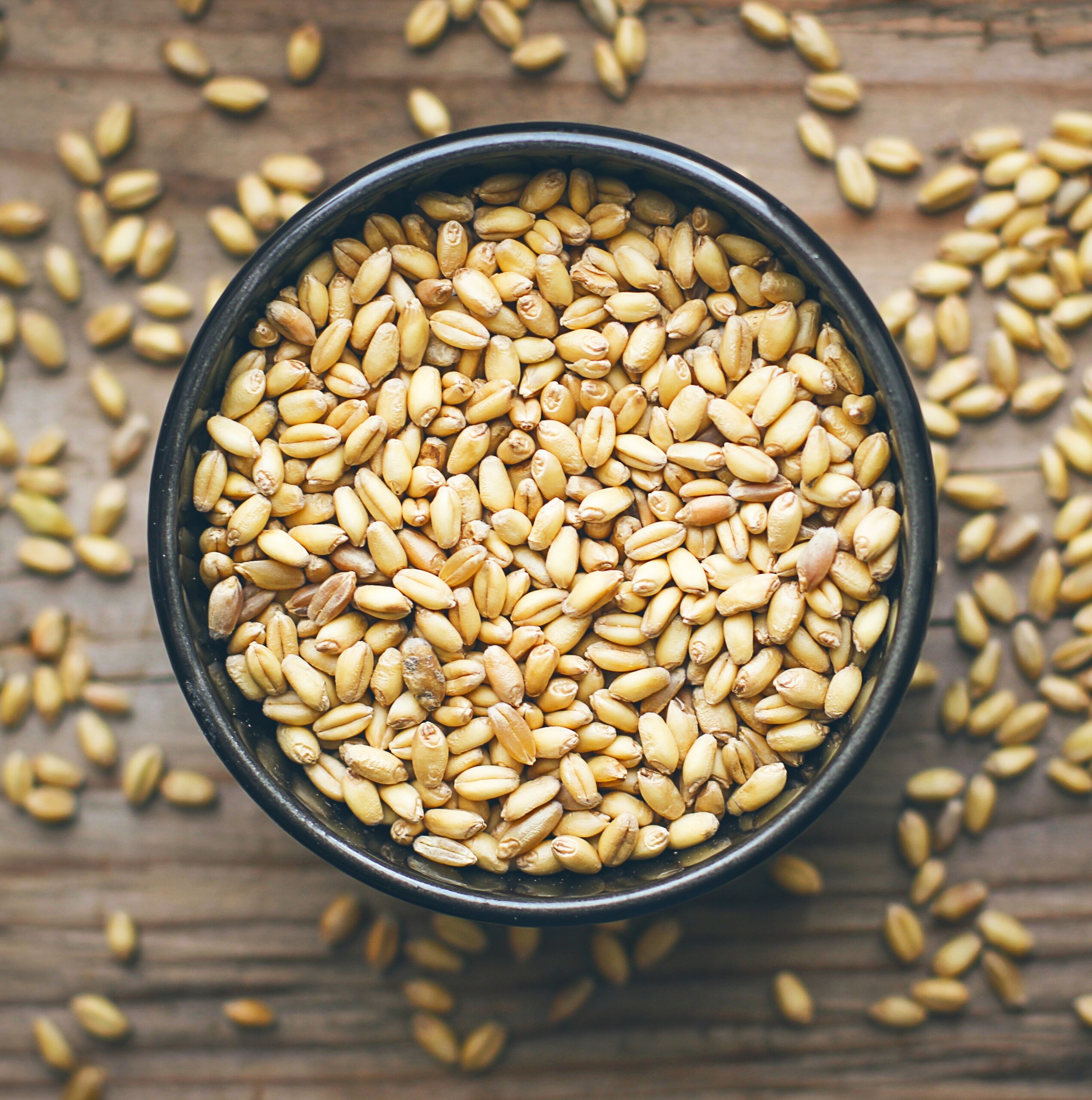 Wheat Grains in bowl and Wheat popcorn in bowl,Wheat Seed rustic background